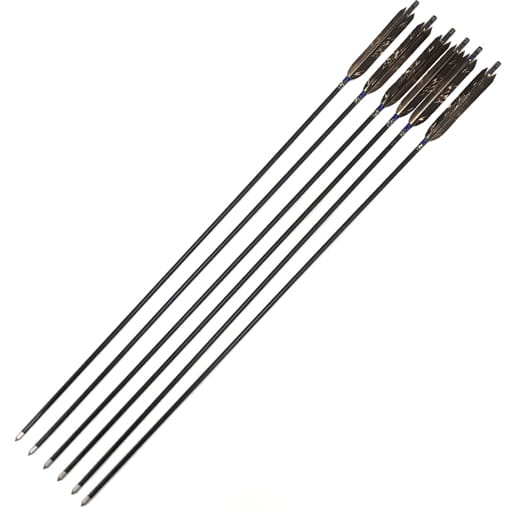 イーストン XX75 2015 弓道 矢 羽根矢 弓道具 弓道関連用品 計6本 セット EASTON