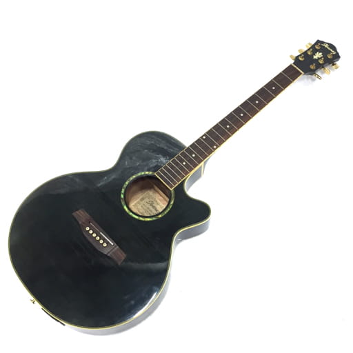 アイバニーズ AEG20E-TG エレキアコースティックギター エレアコ 弦楽器 純正ソフトケース付き Ibanez